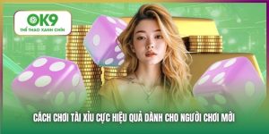 Cách Chơi Tài Xỉu Online - Chỉ Dẫn Từ Ok9 Cho Người Mới