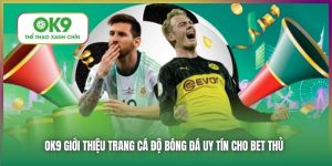 OK9 Giới Thiệu Top Trang Cá Độ Bóng Đá Uy Tín Nhất Năm 2025